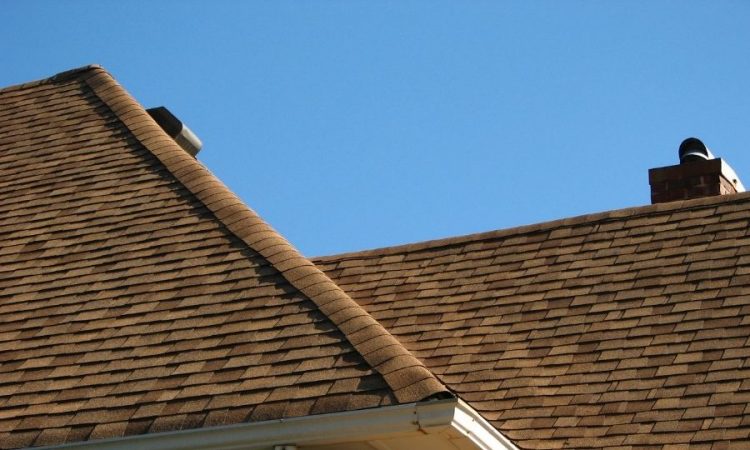 How to Tell if You Need a Roof Repair or Roof Replacement in Canton Michigan