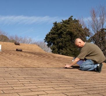 5 Problems That Require A Professional Roofer in Ann Arbor Michigan