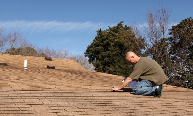 5 Problems That Require A Professional Roofer in Ann Arbor Michigan