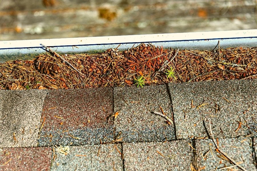 Roof Maintenance Ann Arbor Michigan