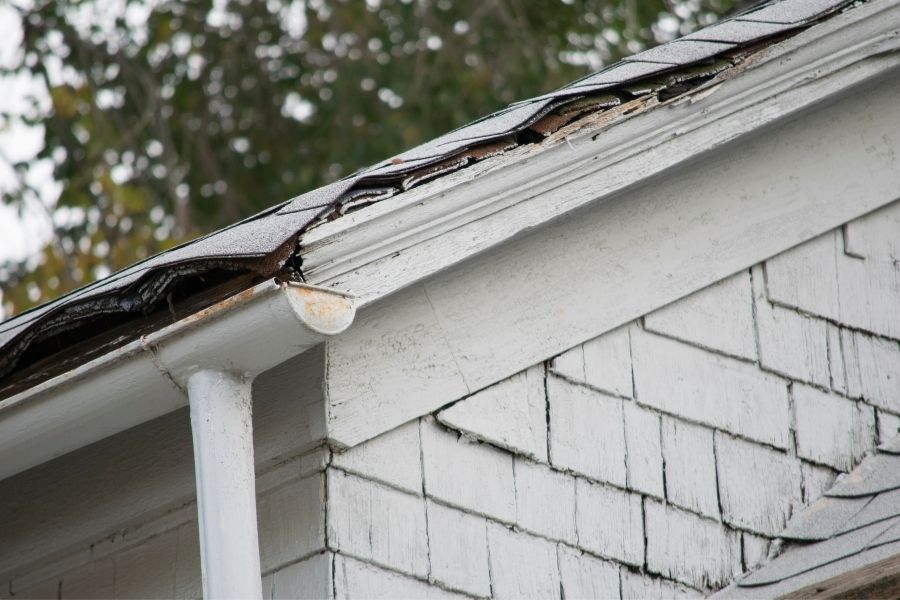 Why Is My Roof Leaking? Common Problems To Why Your Roof in Downriver Michigan Is Leaking