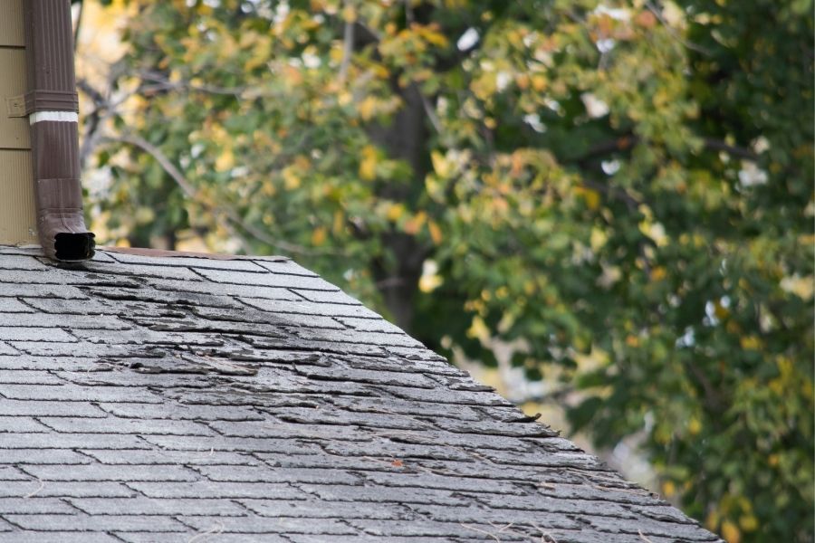 Why You Need To Know About Preventative Roofing Maintenance in Ann Arbor Michigan