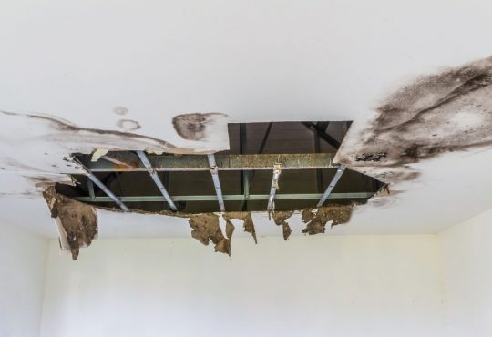 Simple Tips To Prevent a Roof Leak in Howell Michigan