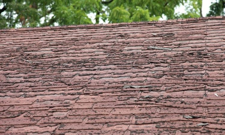 4 of the Most Common Reasons Behind a Roof Leak in Plymouth Michigan
