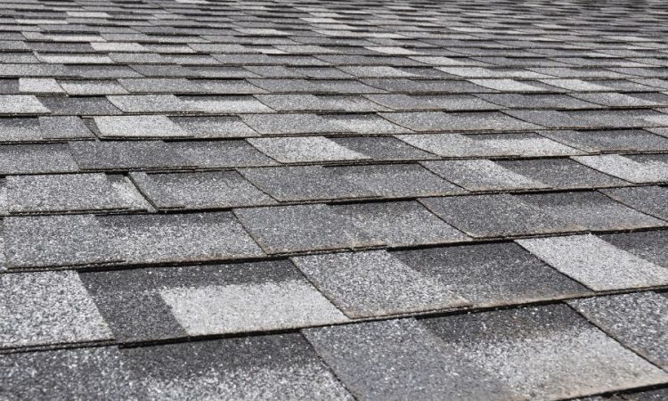Important Factors Every Good Roofing Contractor in Ann Arbor Michigan Should Have