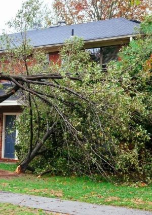 How Strong Winds Can Damage Your Roofing in Downriver Michigan
