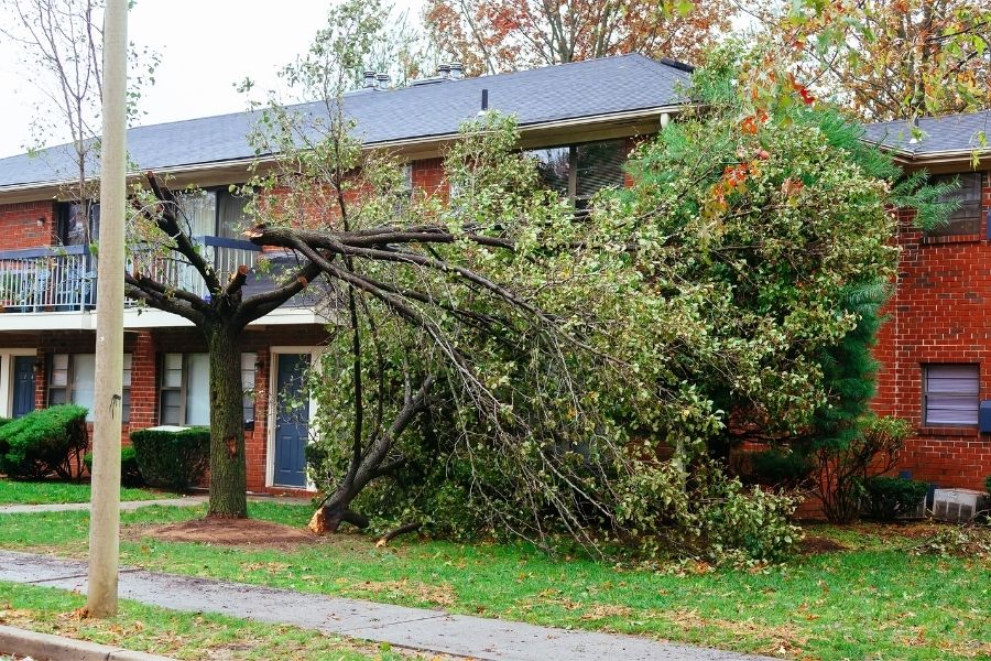 How Strong Winds Can Damage Your Roofing in Downriver Michigan