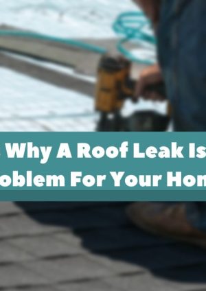 7 Reasons Why A Roof Leak Is A Serious Problem For Your Home