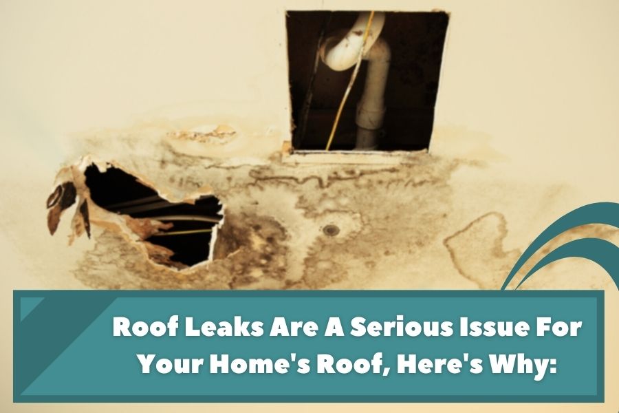 7 Reasons Why A Roof Leak Is A Serious Problem For Your Home 